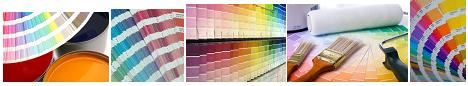 Various Colors & Color Schemes of Paint